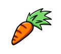 Yummy Looking Cartoon Carrot