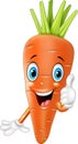 Cartoon carrot giving thumbs up Royalty Free Stock Photo