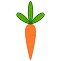 Cartoon carrot icon, symbol symbol vegetarianism, nutritious and healthy vegetables, vector carrot symbol of vitamins a