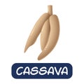 Cartoon cassava vegetables vector isolated on white background
