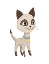 Cartoon cat character. Siamese colorpoint pet. Adorable domestic cat playing. Funny happy and playful animal. Cute two