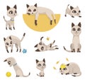 Cartoon cat characters collection. Different pets poses. Siamese colorpoint cats. Adorable domestic cats sleeping and Royalty Free Stock Photo