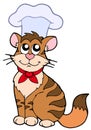 Cartoon cat chef Royalty Free Stock Photo