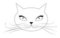 Cartoon cat face Royalty Free Stock Photo