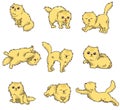 Cartoon cat icon