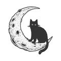 Cartoon cat on Moon sketch vector illustration Royalty Free Stock Photo