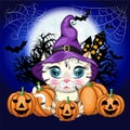 Cartoon cat in purple witch hat with broom, pumpkin, potion. Halloween character, poster. symbol of 2023 Royalty Free Stock Photo