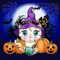 Cartoon cat in purple witch hat with broom, pumpkin, potion. Halloween character, poster. symbol of 2023 Royalty Free Stock Photo