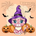 Cartoon cat in purple witch hat with broom, pumpkin, potion. Halloween character, poster. symbol of 2023 Royalty Free Stock Photo