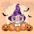 Cartoon cat in purple witch hat with broom, pumpkin, potion. Halloween character, poster. symbol of 2023 Royalty Free Stock Photo