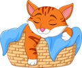 Cartoon cat sleeping in the basket Royalty Free Stock Photo