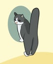 Cartoon of a cat standing on front feet with highly raised tail