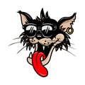 Cartoon cat in sun glasses. Design element for logo, sign, emblem. Royalty Free Stock Photo