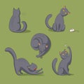 Cartoon cat in various poses