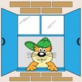 Cartoon Cat at Window