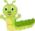Cartoon Caterpillar isolated on white background Royalty Free Stock Photo