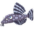 Cartoon catfish fish Royalty Free Stock Photo