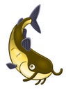 Cartoon catfish Royalty Free Stock Photo