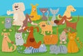 Cartoon cats and dogs comic animal characters Royalty Free Stock Photo