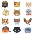 Cartoon cats and hipster kittens face muzzles vector icons Royalty Free Stock Photo