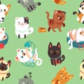 Cartoon cats, kitten vector seamless background