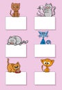 cartoon cats and kittens with cards design set Royalty Free Stock Photo