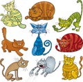 Cartoon cats set