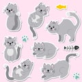 Cartoon cats set. Funny cats stickers in different poses Royalty Free Stock Photo