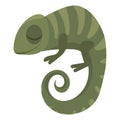 Cartoon chameleon. Vector illustration of a cute chameleon. Drawing lizards for children. Zoo for kids.