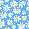 Cartoon chamomile seamless pattern, daisy floral print. Cute white yellow meadow flowers. Natural spring decoration