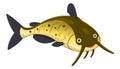 Cartoon channel catfish Royalty Free Stock Photo