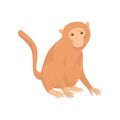 Cartoon character of big African monkey. Wild mammal animal with brown fur and long tail. Flat vector element for promo