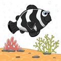 Cartoon character cute black fish isolated on sea landscape. Marine underwater world with plant, reef on sand and colorful fish. Royalty Free Stock Photo