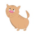 Cartoon Character cute fat cat