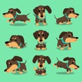 Cartoon character dachshund dog poses collection