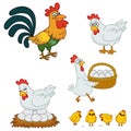 cartoon character farm animals chicken rooster chick eggs hatching pattern set isolate Royalty Free Stock Photo