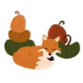 Cute cartoon character fox resting in a pumpkin patch vector illustration for holiday greeting card like halloween or thanksgiving Royalty Free Stock Photo