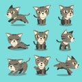 Cartoon character grey tabby cat poses Royalty Free Stock Photo