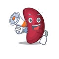 Cartoon character of human spleen having a megaphone Royalty Free Stock Photo