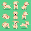 Cartoon character labrador dog poses