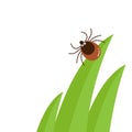 Cartoon character mite in the tall green grass flat vector illustration, mite hiding in the grass, tick-borne mite color