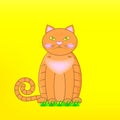 Cartoon character orange British cat on green grass. Red Grumpy British male cat on yellow background.