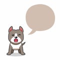 Cartoon character pitbull terrier dog with speech bubble Royalty Free Stock Photo