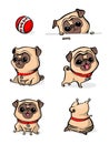 Cartoon character pug dog poses. Cute Pet dog in the flat style. Set dogs. Cute dog of pug breed. Vector collection of Royalty Free Stock Photo