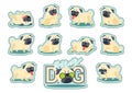 Cartoon character pug dog poses.