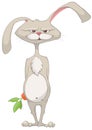 Cartoon Character Rabbit