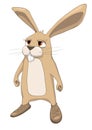 Cartoon Character Rabbit