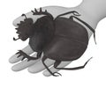 Cartoon character with scarabeus typhon in hand Royalty Free Stock Photo