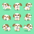 Cartoon character shih tzu dog poses