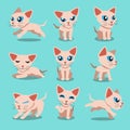 Cartoon character sphynx cat poses